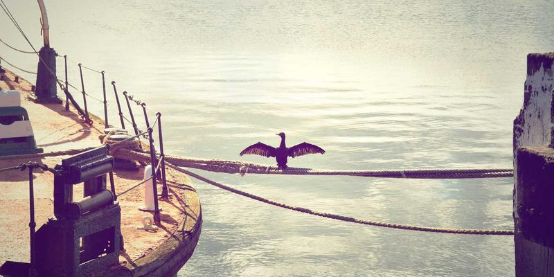 无线充电技术瓶颈:电磁谐振式与电磁感应式在电动汽车领域的效率与安全博弈