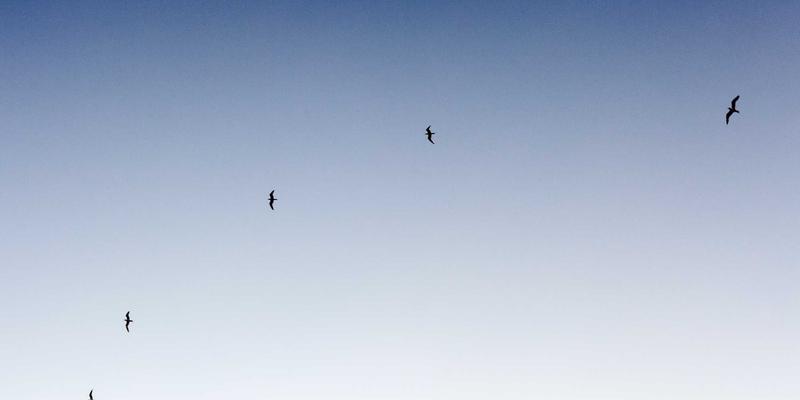 智能铸造新引擎:电磁搅拌器如何重塑钢坯内部质量与自动化未来