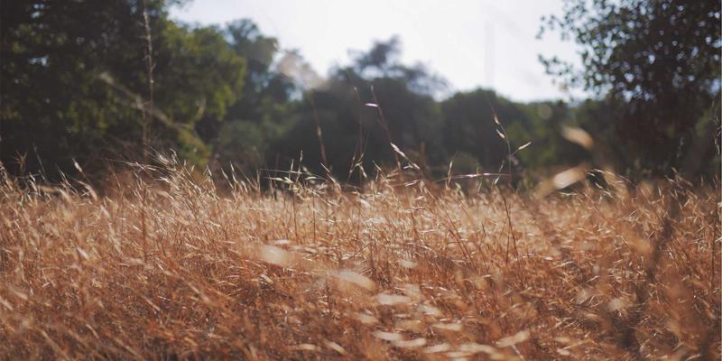 自动驾驶的“隐形战场”:电磁敏感度(EMS)测试如何守护传感器在复杂环境中的可靠生命线