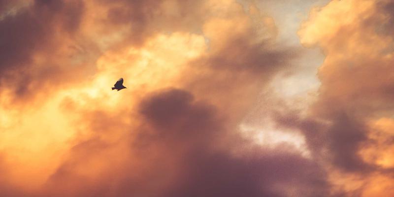 齐鲁大地电磁：揭秘电磁制动器如何成为电梯安全的“终极守护神”